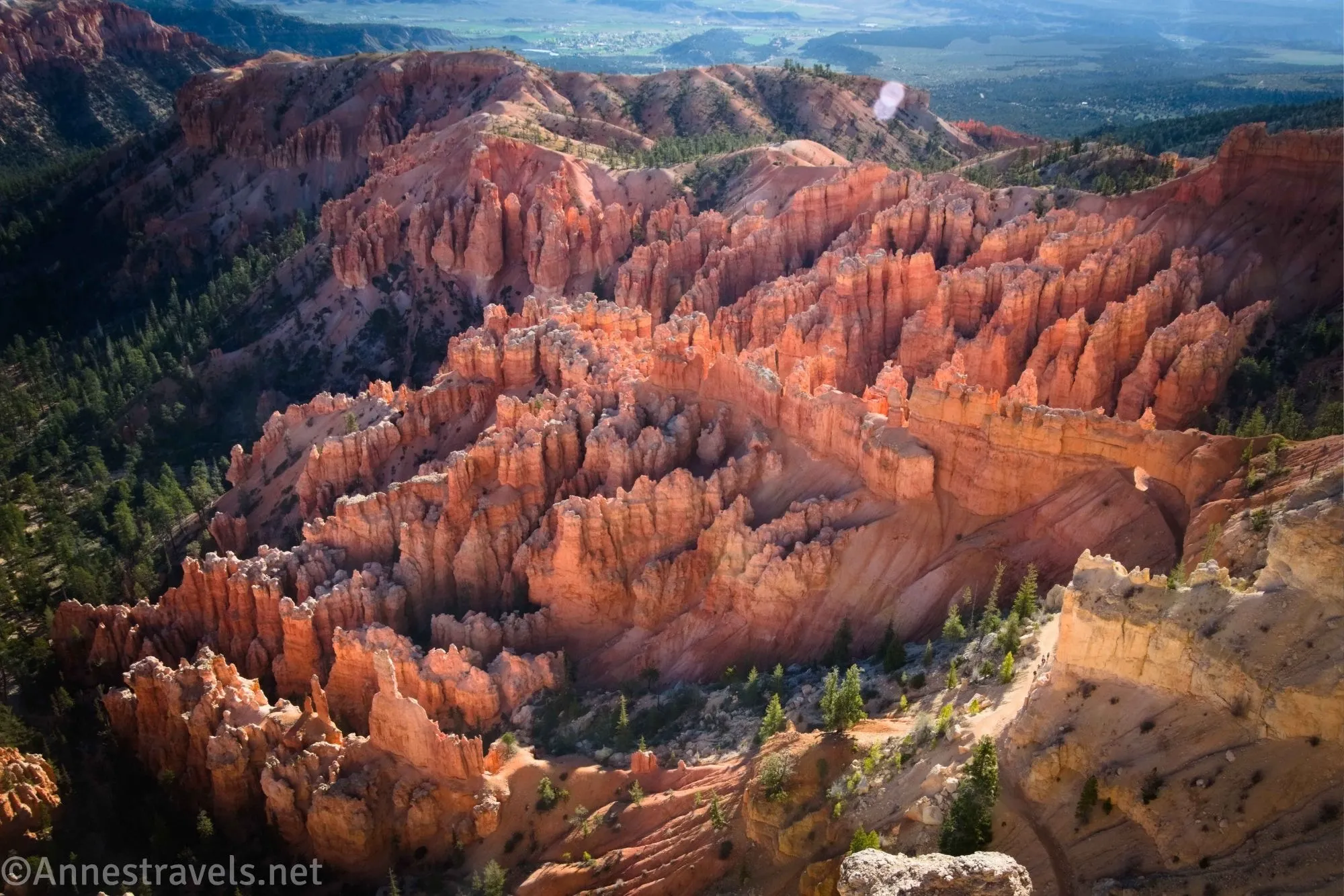 Hoodoos below Bryce Point in Bryce Canyon National Park, Utah