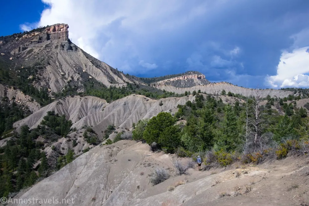 The Skid Ridge Trail above Durango, Colorado