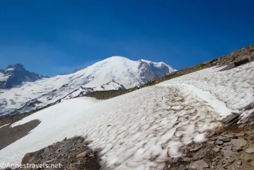 Snowfield with a trail across it with a snowy Mount Rainier in the background on Second Burroughs Mountain 