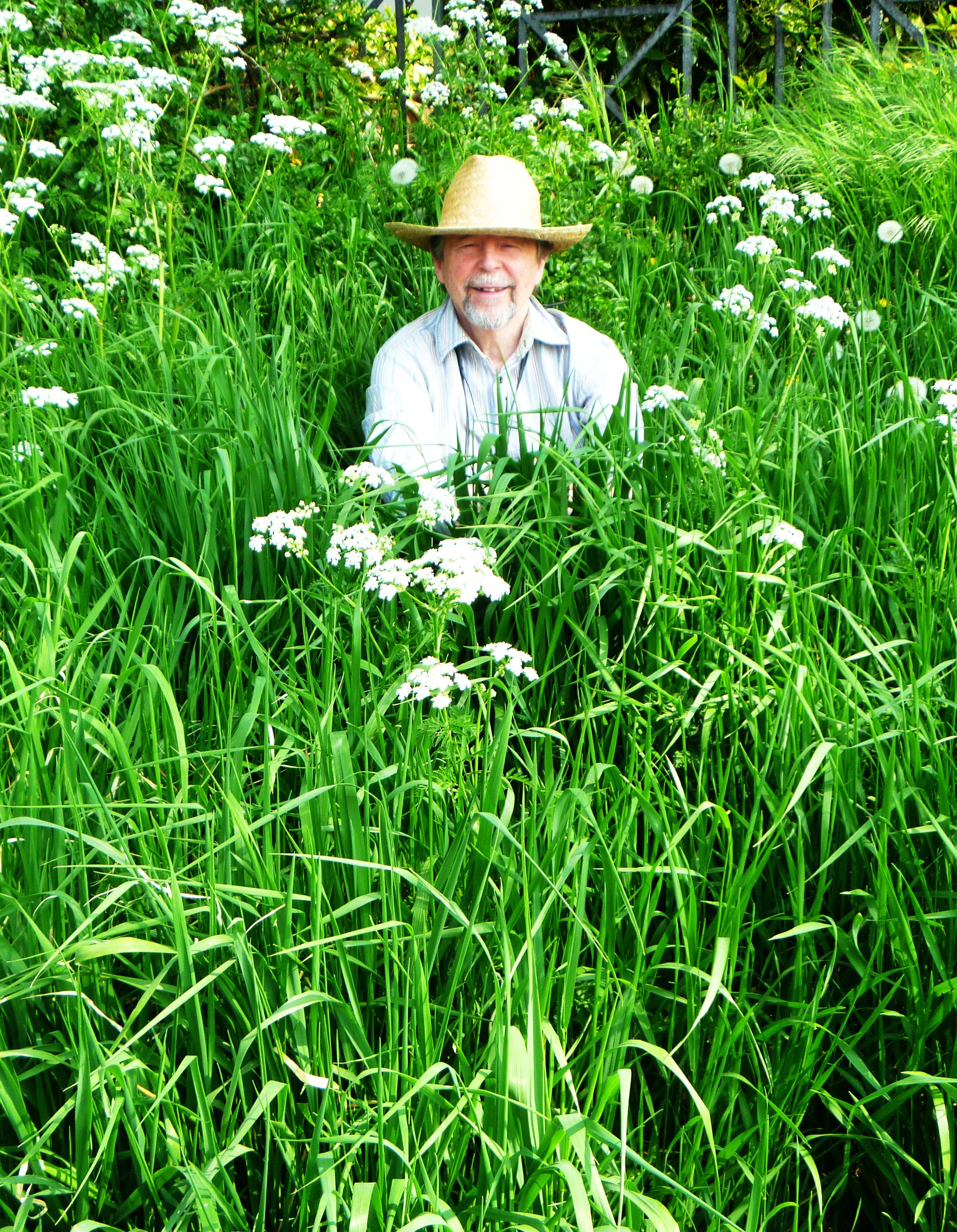 gerry in grass.jpg