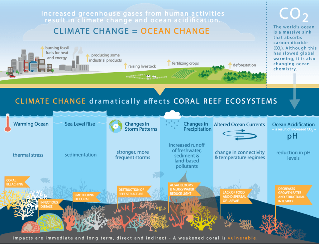 1024px-Climate_change_threats_to_coral_reefs_NOAA_National Ocean Service.png