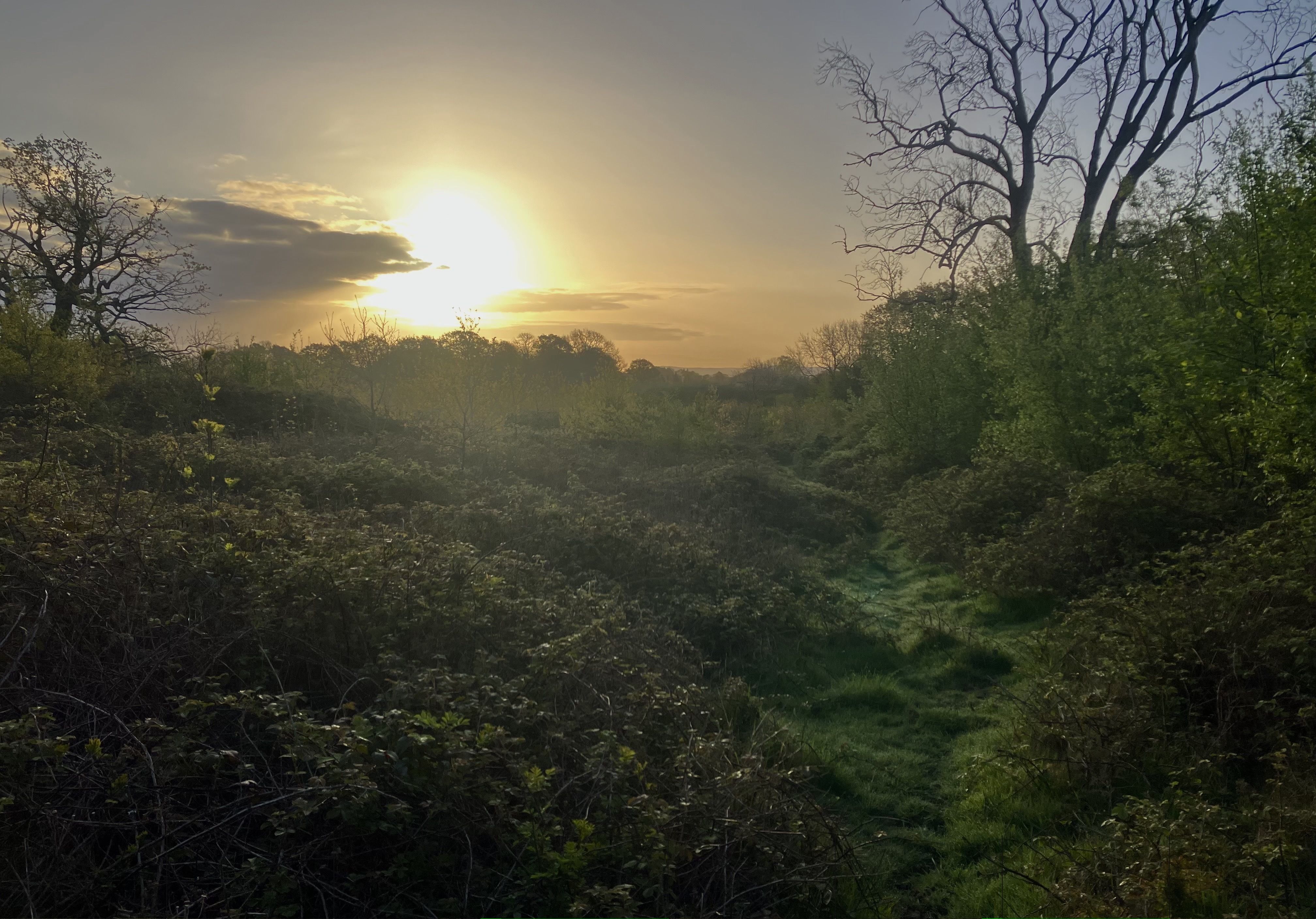 FO Apr sunrise.jpg