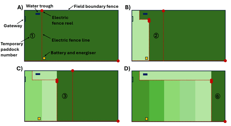 Figure 2: Example temporary electric fence setup and paddock layout with single water access and green lane system.