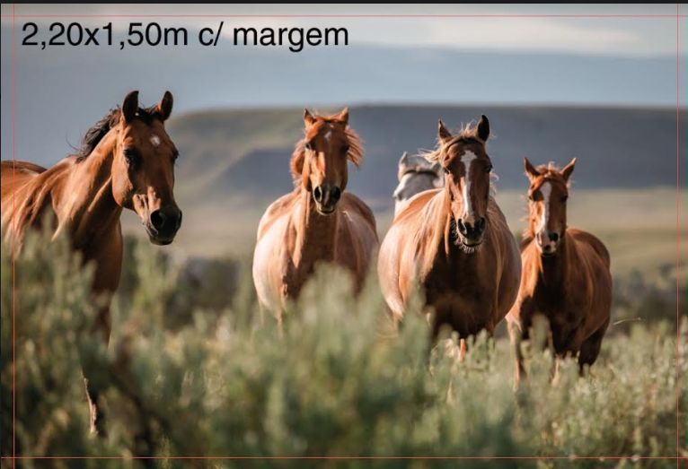 Painel de parede personalizado por metro quadrado.