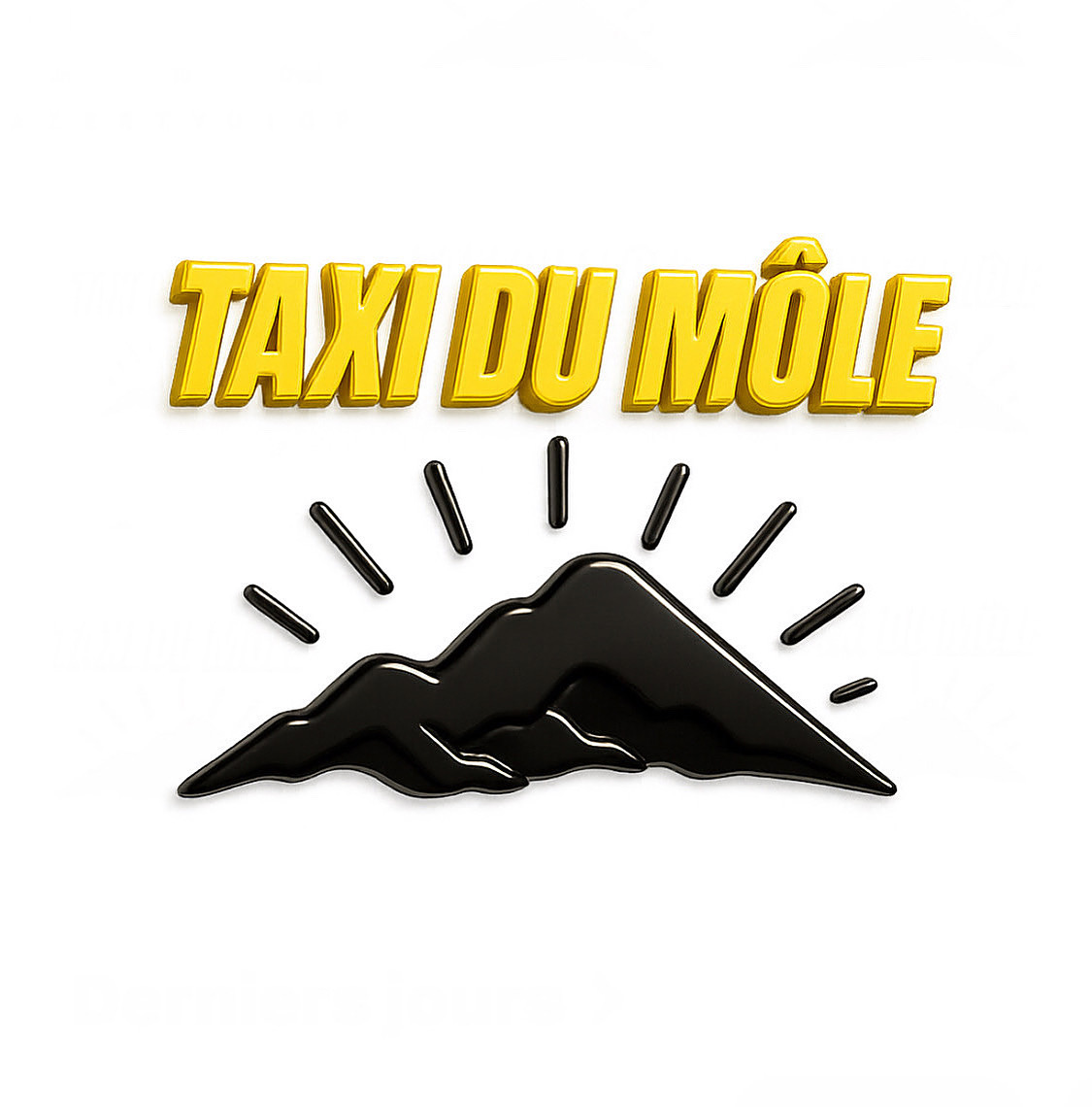 Logo officiel Taxi du Môle, service de taxi à Bonneville (74130) en Haute-Savoie