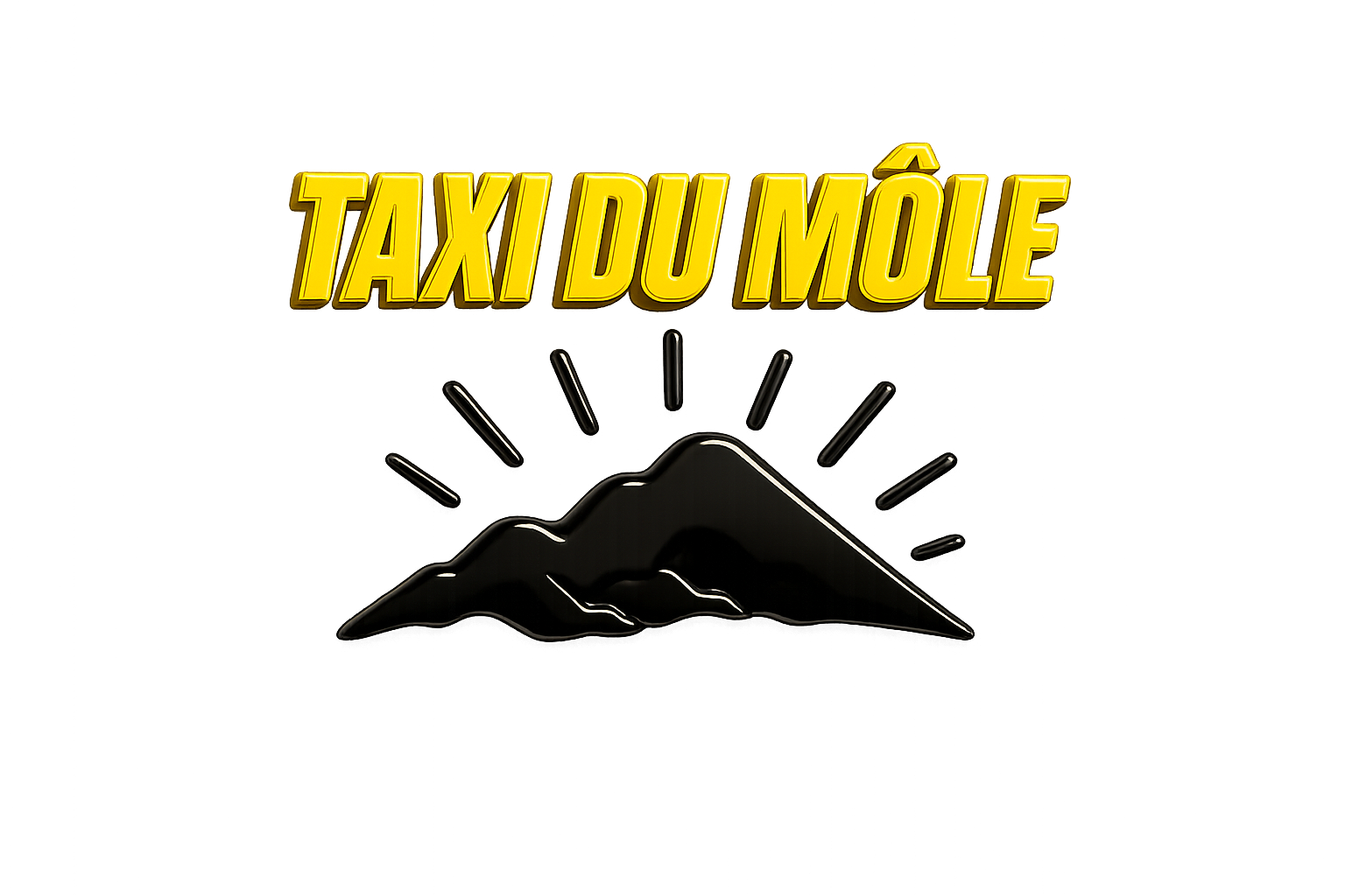 Taxi Mdph 74 transport scolaire adapté