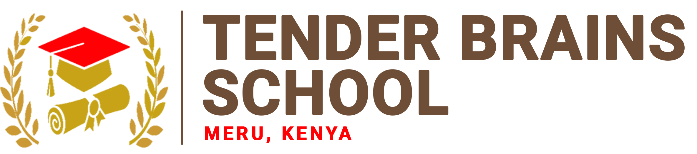 Tender Brains School