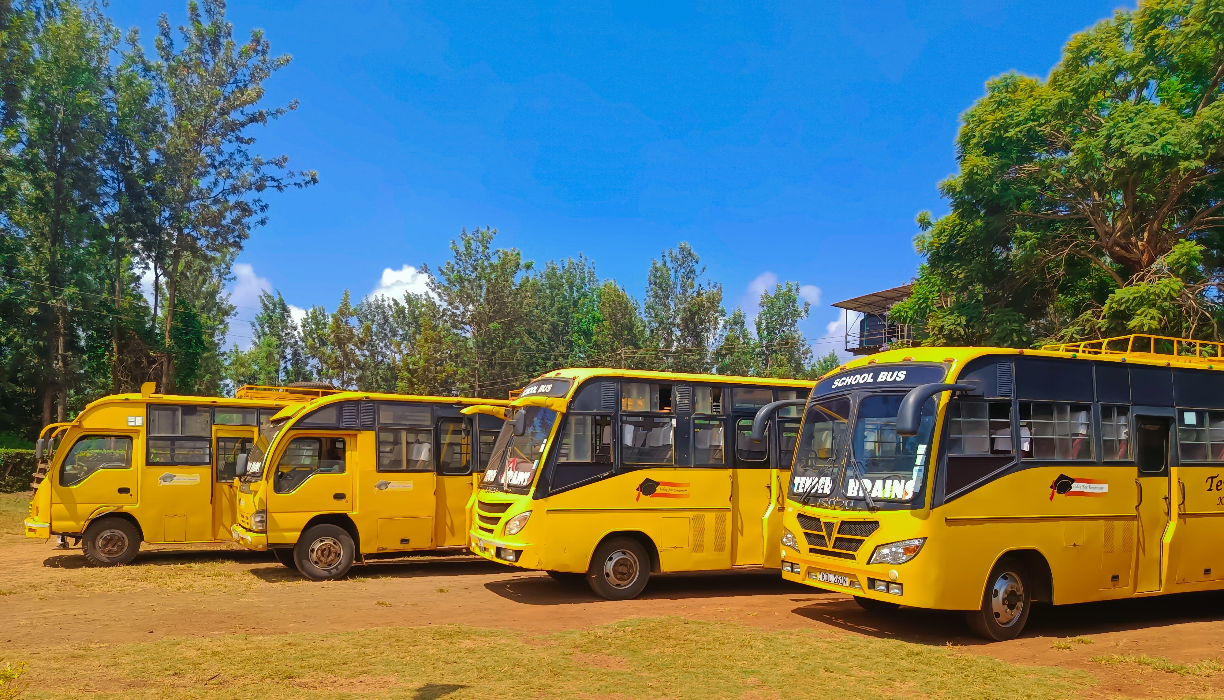 School bus transport