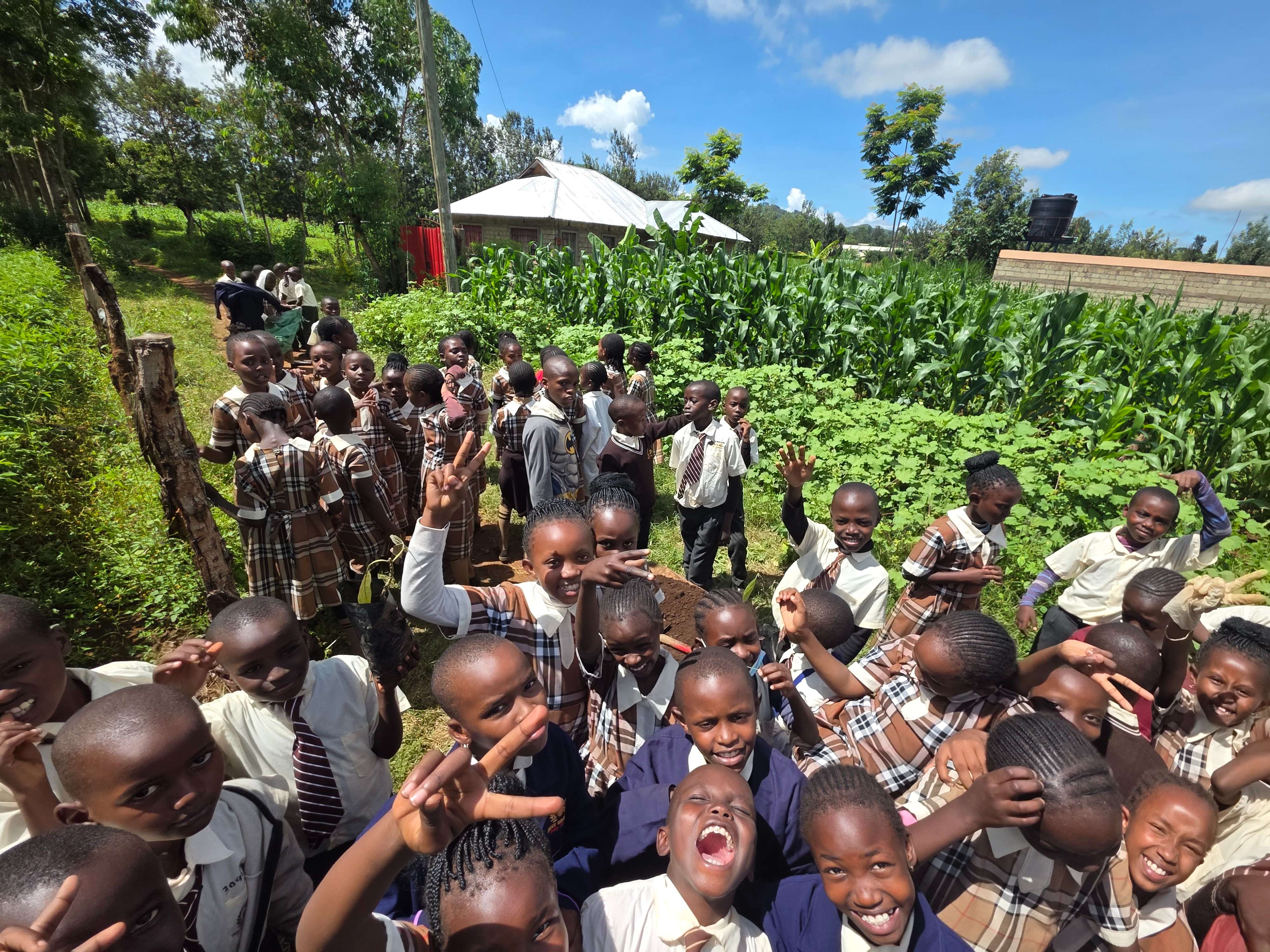 Grade Four Agricultural Project