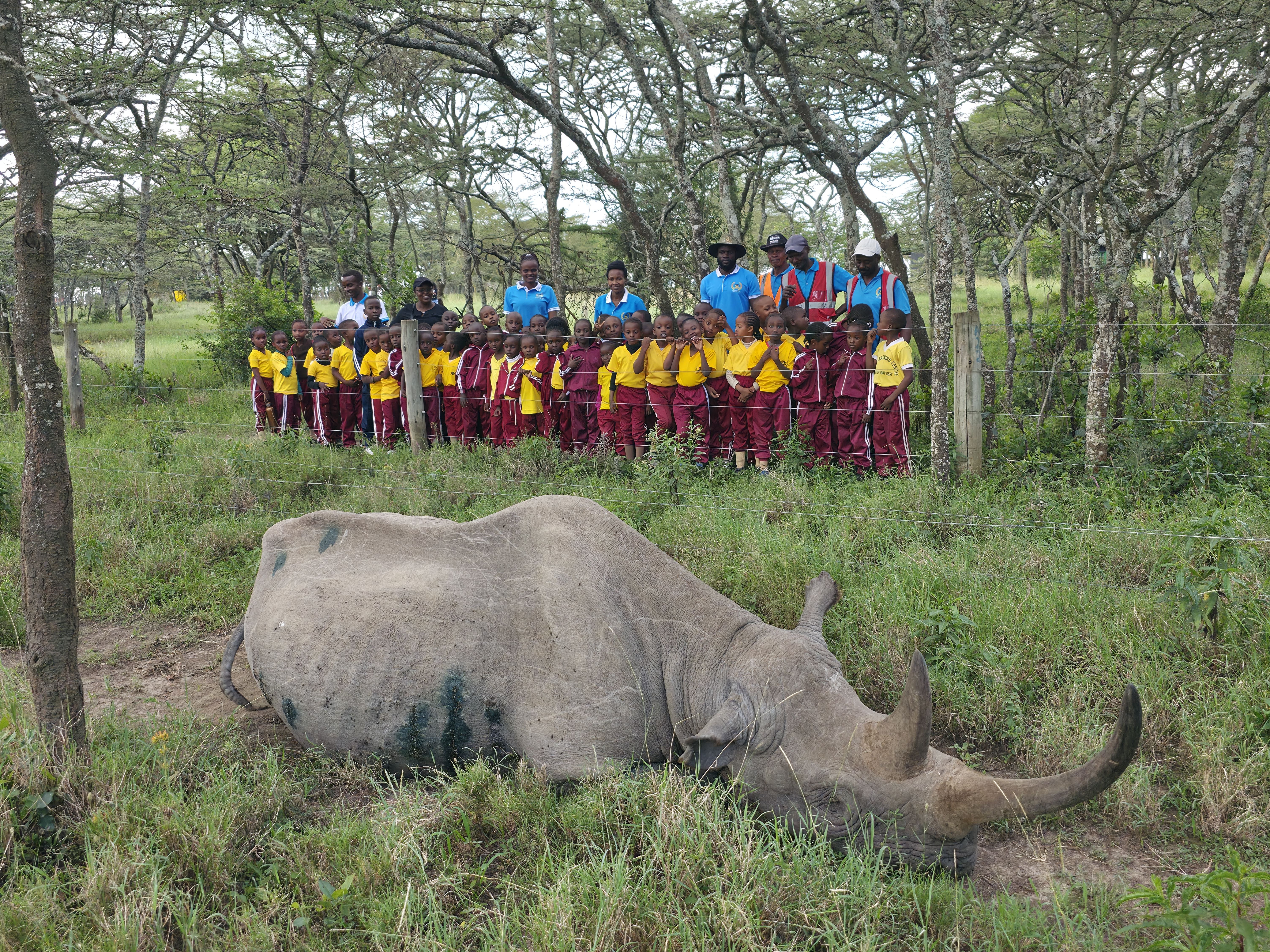 PP2, Grade 1 & Grade 2 Educational Excursion to Ol Pejeta Conservancy, Laikipia County
