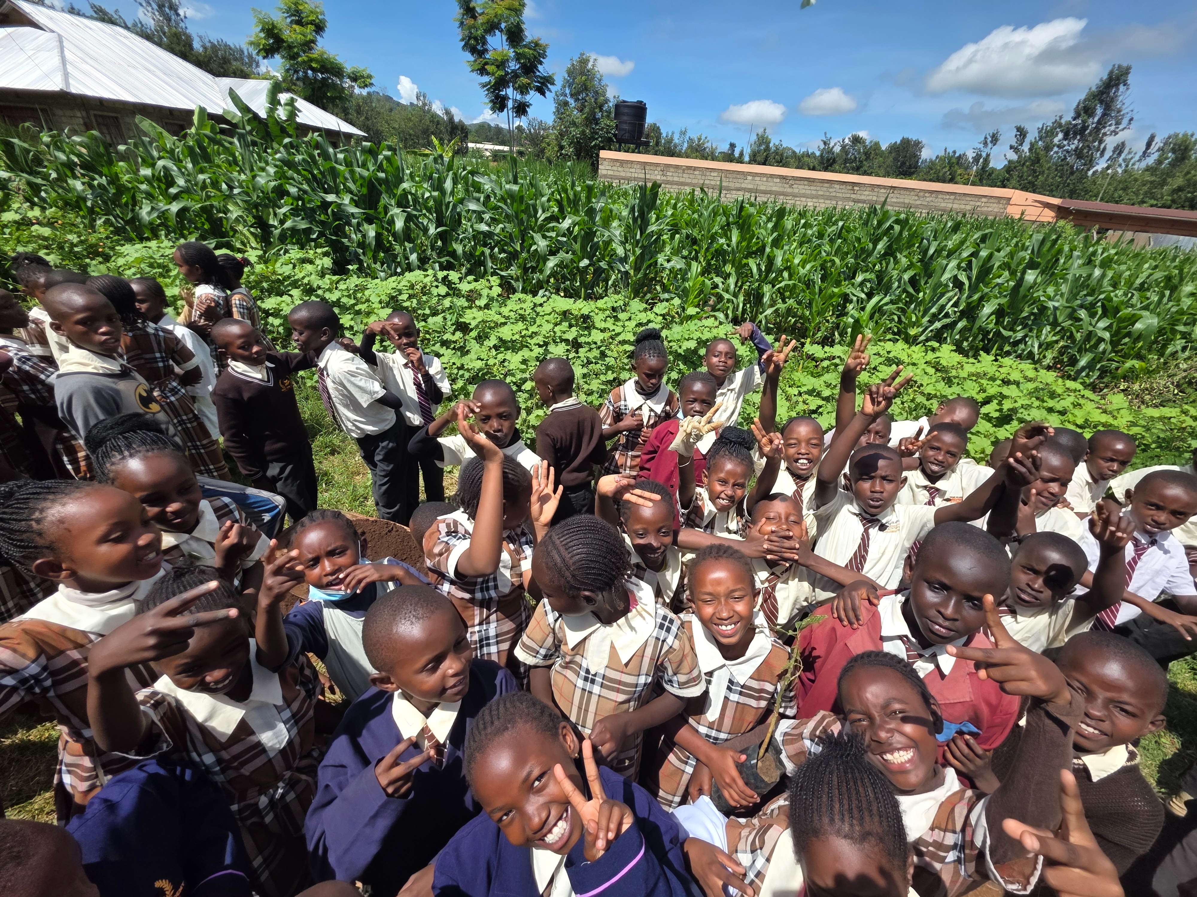 Grade 4 Agricultural Project