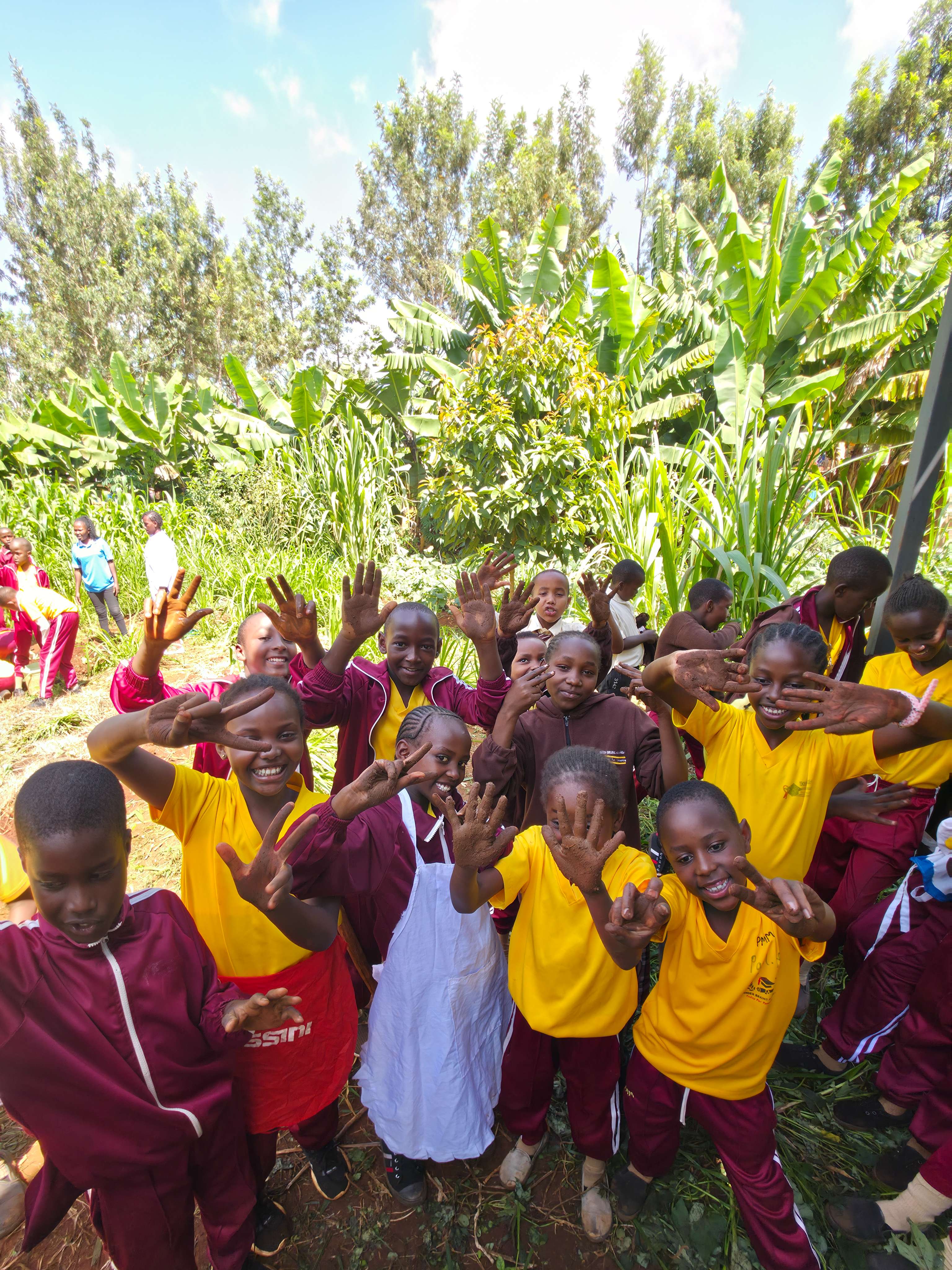 Grade Five KNEC Agriculture Project: Vegetable Planting