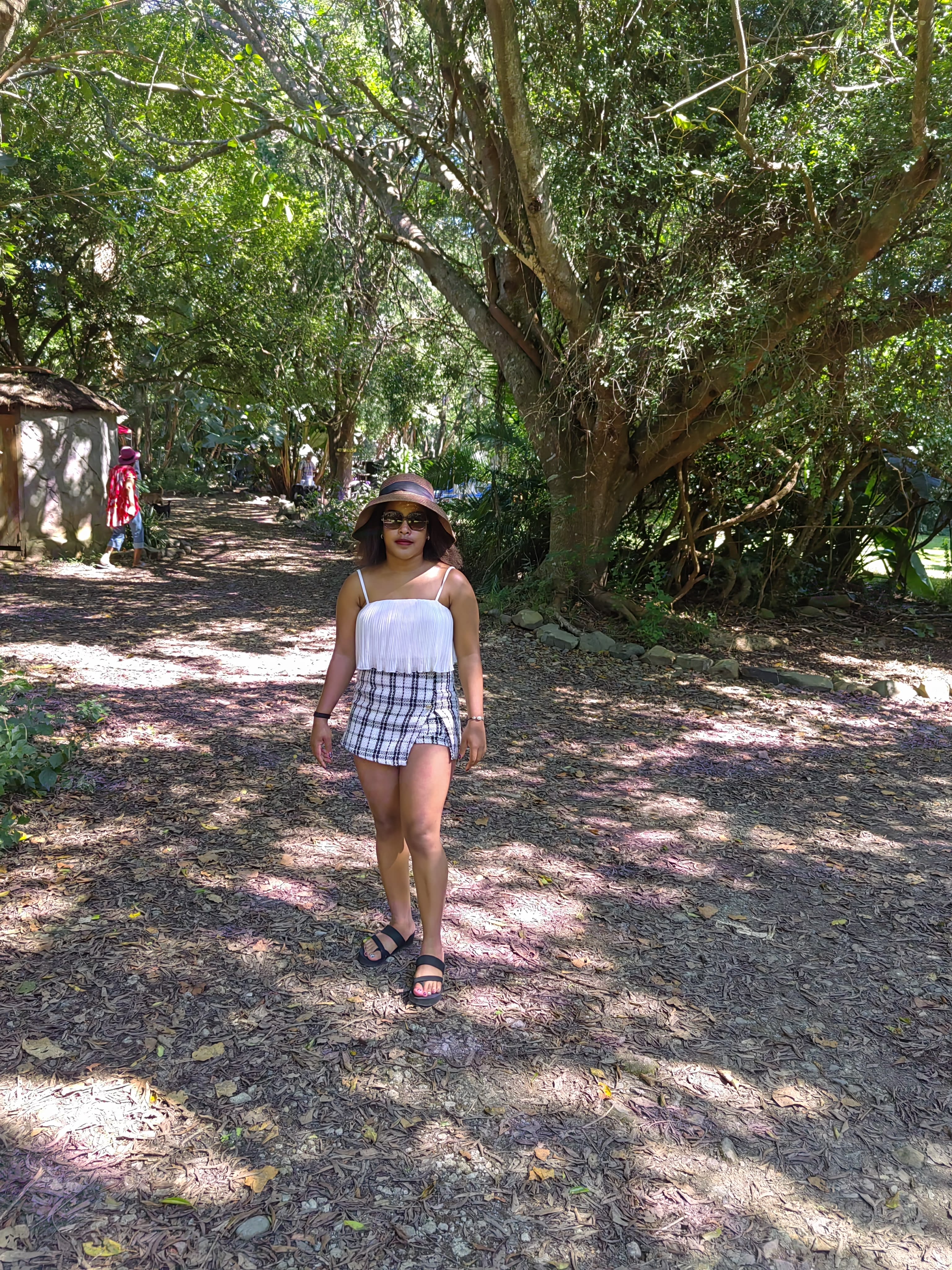 Walking a dappled forest path
