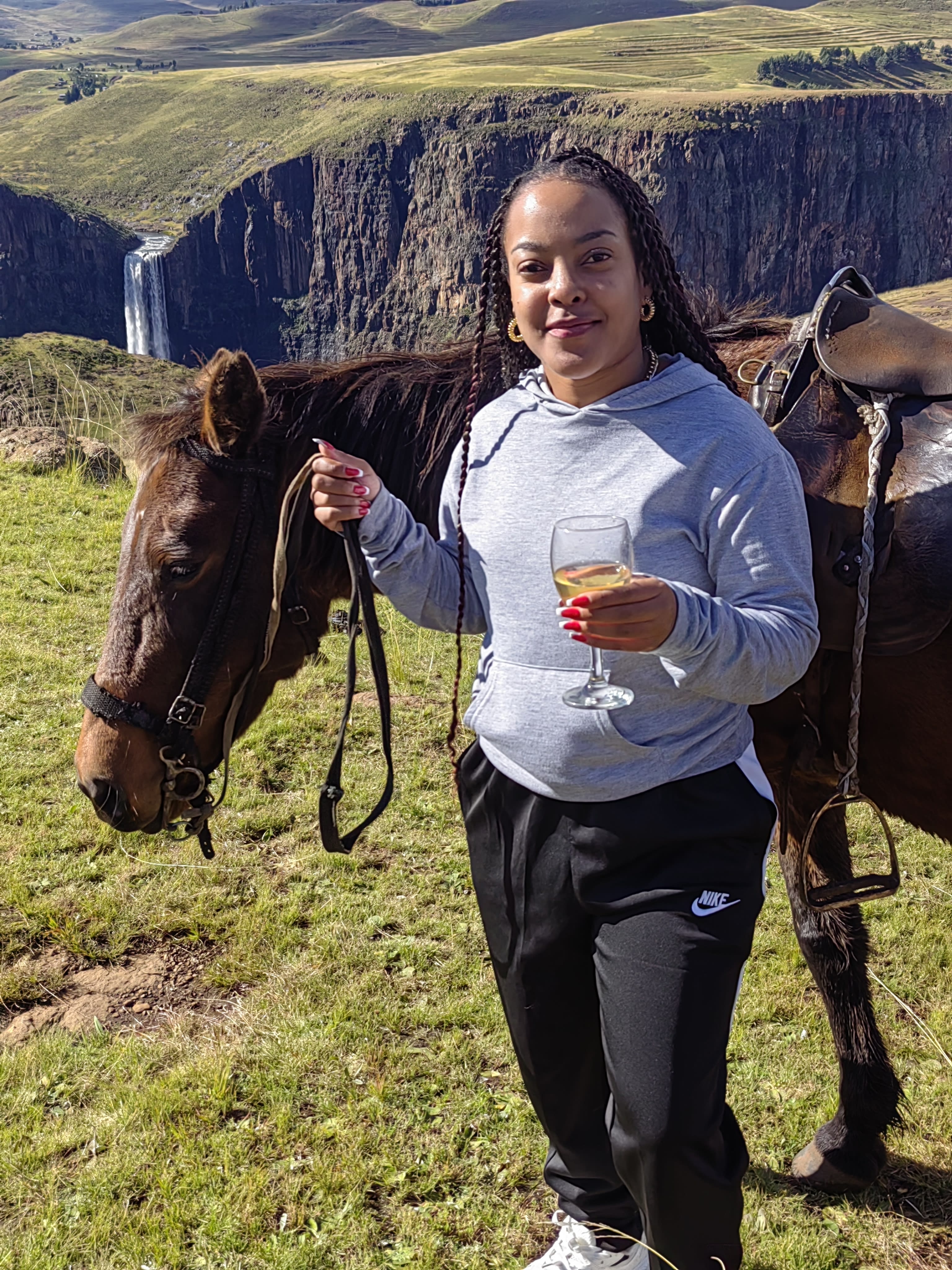 A horse and a glass of wine before a waterfall