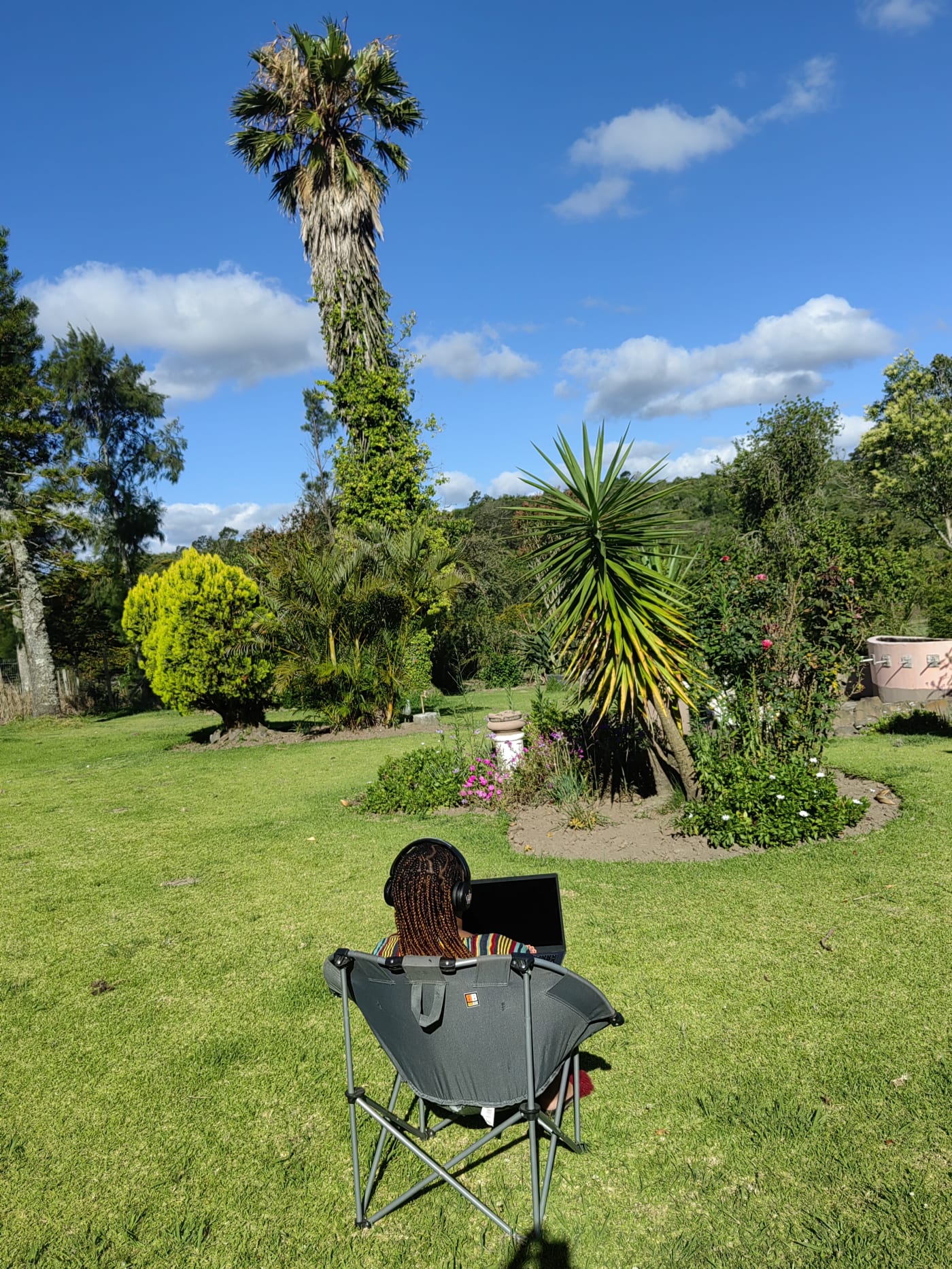 A laptop on a camping chair on a lawn under a palm tree