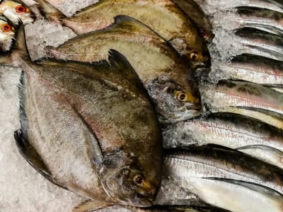 おやなぎ鮮魚店