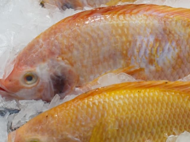 お魚の江藤 1枚目