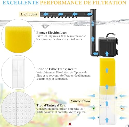 Vue 5 de Fedour Filtre