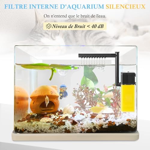 Vue 6 de Fedour Filtre