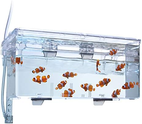 Vue 3 de Marina Cuve Disolation Grand