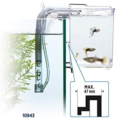 Vue 5 de Marina Cuve Disolation Grand