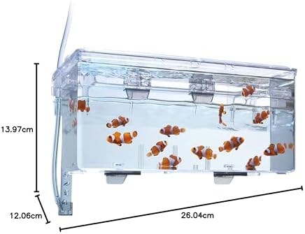 Vue 6 de Marina Cuve Disolation Grand