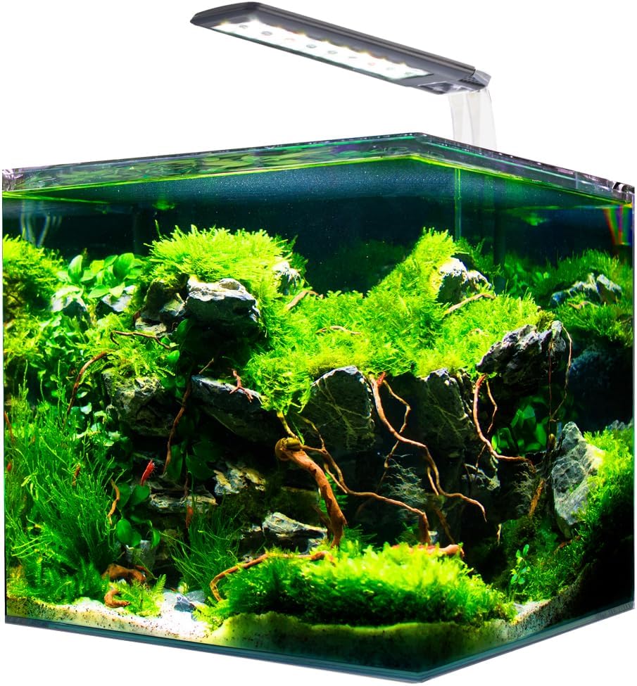 Amtra Nanotank System Aquarium