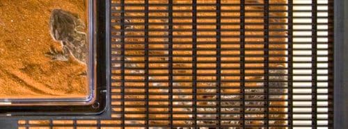 Vue 2 de Exoterra Faunarium Mini Pour