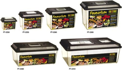 Vue 3 de Exoterra Faunarium Mini Pour