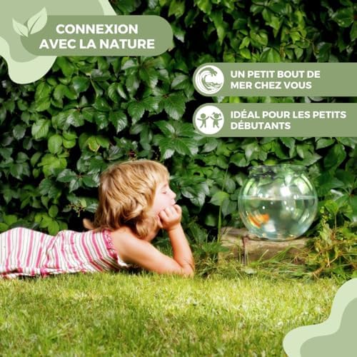 Vue 5 de Mobiclinic Pets Bocal Poisson