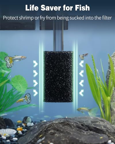 Vue 2 de Pawfly Pack Eponge Prefiltre