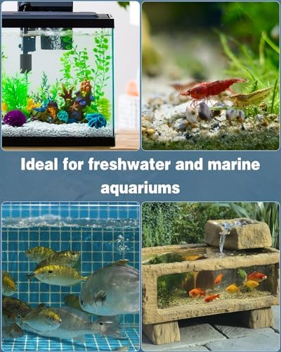 Vue 5 de Pawfly Pack Eponge Prefiltre