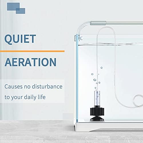 Vue 5 de Pawfly Filtre Eponge Daquarium