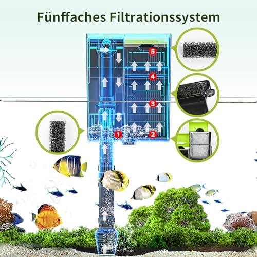 Vue 6 de Forever Speed Filtre Externe