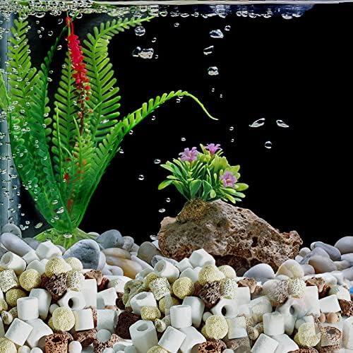 Vue 5 de Masse Filtrante Aquarium