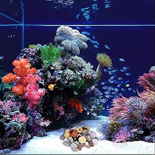 Vue 6 de Masse Filtrante Aquarium