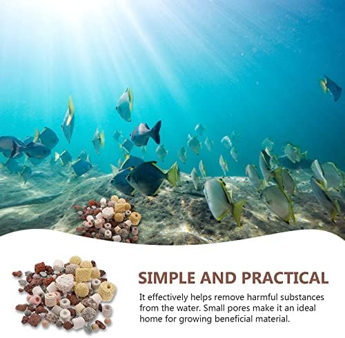 Vue 7 de Masse Filtrante Aquarium