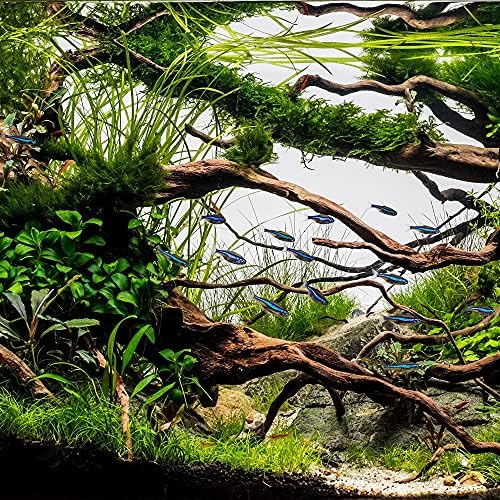 Vue 6 de Sunsun Filtre Exterieur Pour