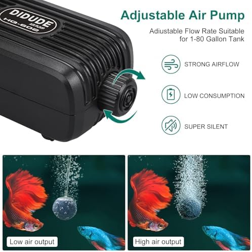 Vue 4 de Cirulli Gagaciso Pompe