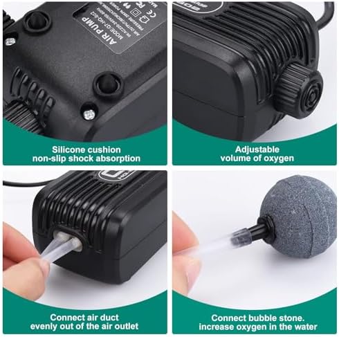 Vue 5 de Cirulli Gagaciso Pompe