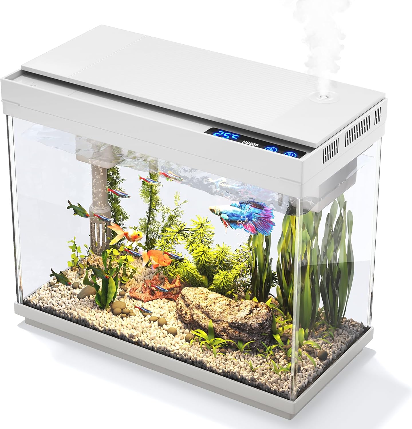 Aquarium Petit Aquarium