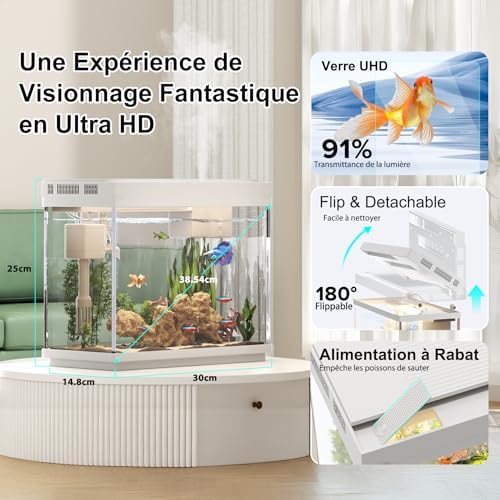Vue 4 de Aquarium Petit Aquarium