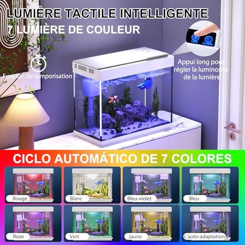 Vue 5 de Aquarium Petit Aquarium