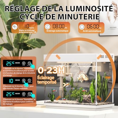 Vue 6 de Aquarium Petit Aquarium