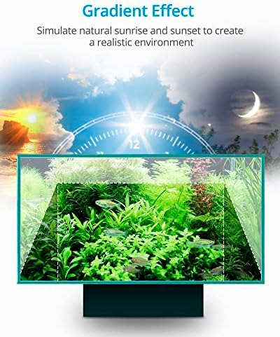 Vue 6 de Nicrew Slimled Rampe Led