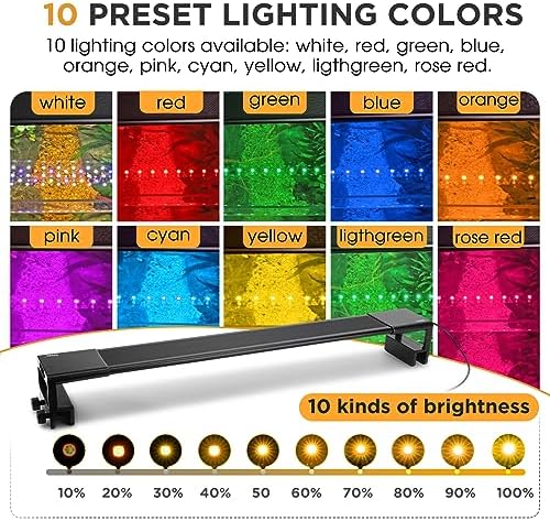 Vue 3 de Hygger Clip On Aquarium