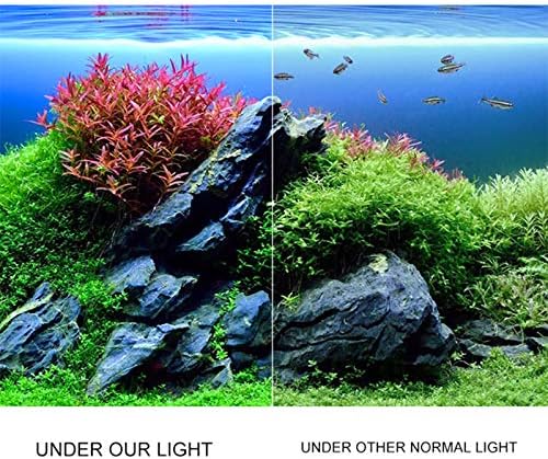 Vue 5 de Ledgle Eclairage Pour Aquarium