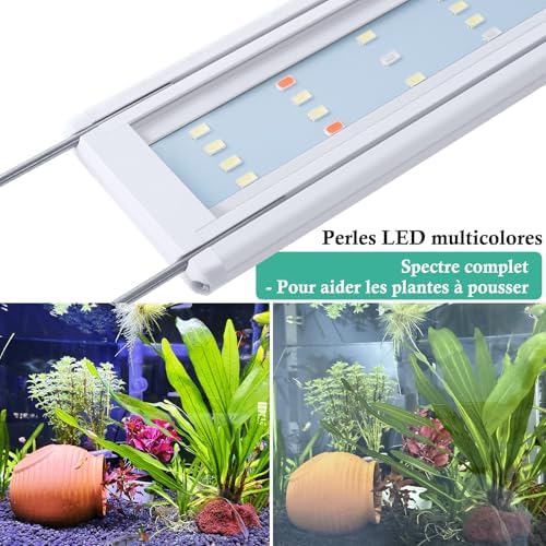 Vue 5 de Rampe Led Aquarium