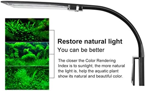 Vue 6 de Ledgle Eclairage Pour Aquarium