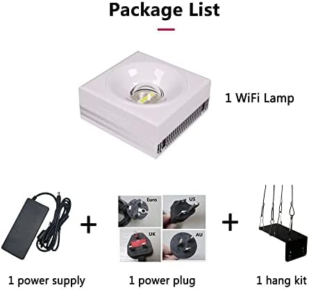 Vue 6 de Popbloom Rl Wifi Rampe